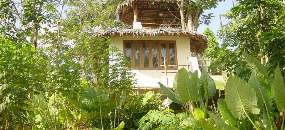 1 bedroom house in Chalong inside a tropical surrounding