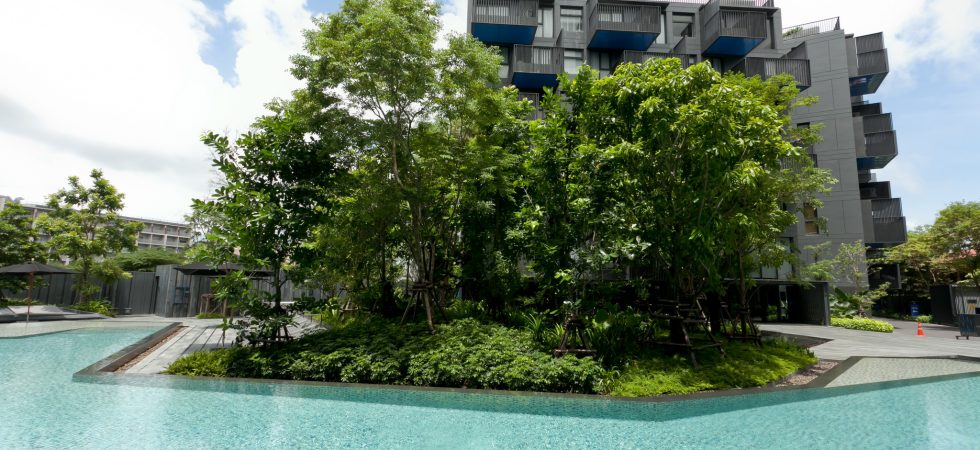 2 bedroom pool access apartment in Patong